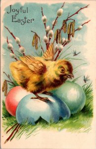 Easter Postcard Chick Standing on Colored Eggs Pussy Willow