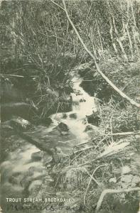 Vintage Postcard Trout stream Brookdale CA Santa Cruz County