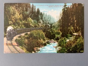 Sacramento River Cyn Shasta Springs Shasta Route CA Litho Postcard A1163090122