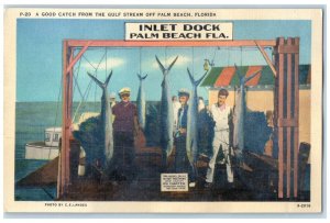 c1940 Good Catch Gulf Stream Off Inlet Dock Palm Beach Florida Unposted Postcard