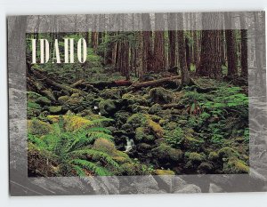 Postcard Idaho