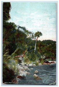 1907 Shore Indian River Pine Tree Rocks Lake Rockledge Florida Vintage Postcard