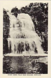 Maryland Oakland Muddy Creek Falls Albertype