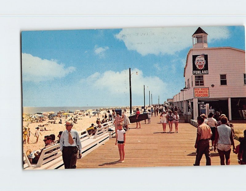 Postcard Greetings from Rehoboth Beach Delaware USA