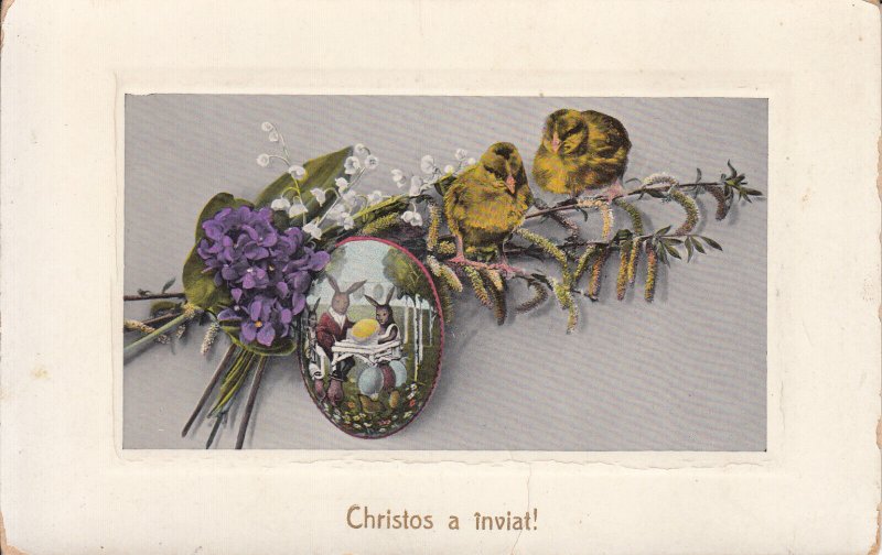 Easter rabbits pencil egg chicks 1911 greetings postcard Romania Christ is risen