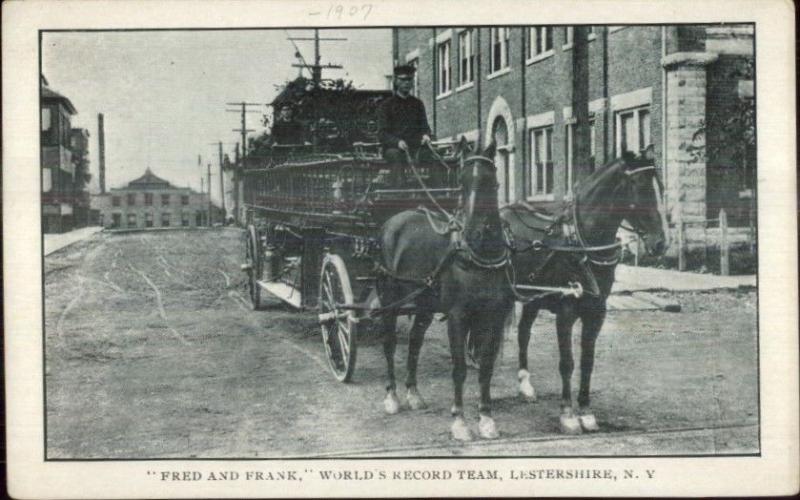 Lestershire NY World Record Team Fire Engine Horses c1910 Postcard