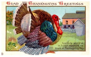 Thanksgiving  large Tom Turkey