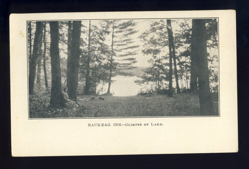 Ashburnham, Massachusetts/MA/Mass Postcard, Naukeag Inn On Lake