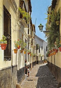 Typical Street, Malaga 