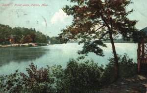 Vintage Postcard 1908 Forest Lake Trees Nature Palmer Massachusetts Lakeside MA