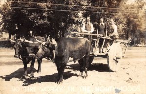 J30/ Long Lake Michigan RPPC Postcard c1940s Cow-Drawn Cart People 312