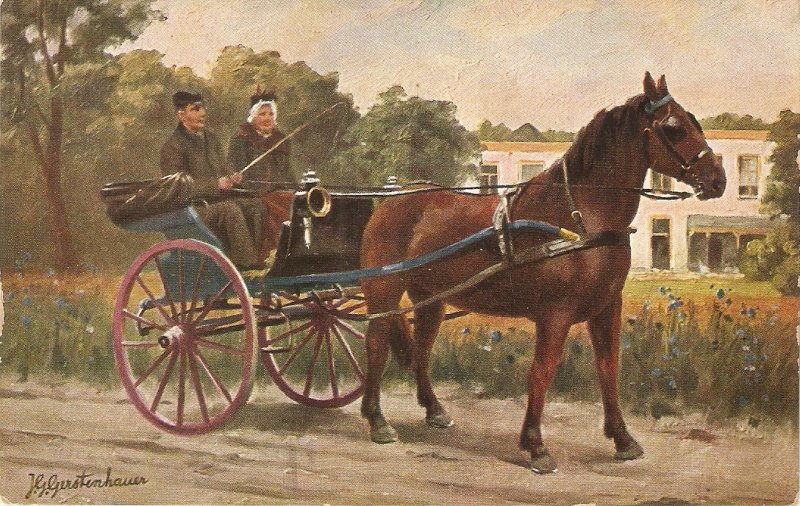  Horse Calette Old vintage Dutch postcard. Signed