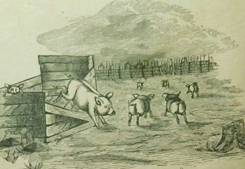 Pigs Excuse Haste and A Bad Pen Farm Scene Engraved Victorian Trade Card C3 