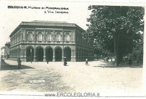 Vintage postcard: BOLOGNA City: PHOTOGRAPHIC: MUSEUM-