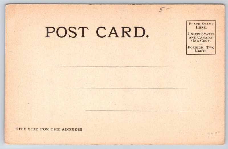 St Louis 1904 World's Fair~Jerusalem Exhibit~Arab Peasants~Camels~Postcard