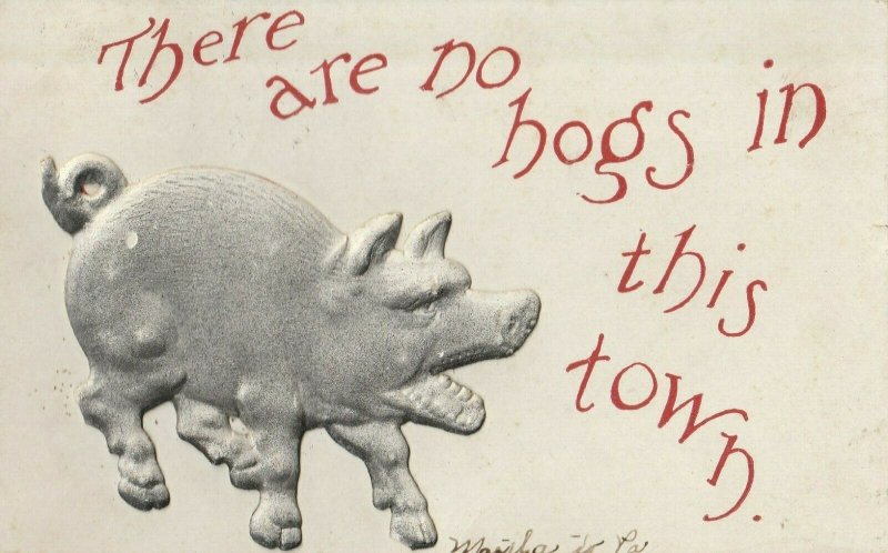 Comic~There Are No Hogs in this Town~Big Embossed Gray Pig~1909 Postcard