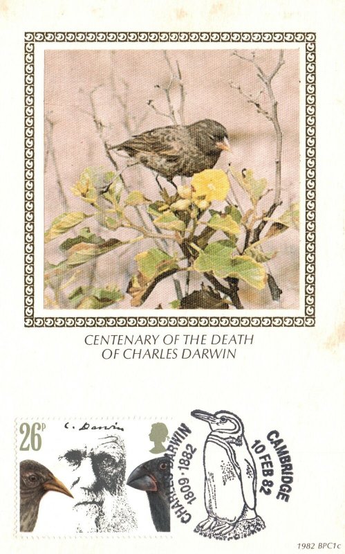 Vintage Postcard Centenary of The Death of Charles Darwin Cambridge Bird