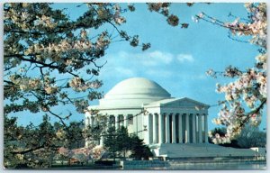 M-40197 The Jefferson Memorial at Cherry Blossom Time Washington District of ...