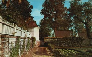 Vintage Postcard View in the Kitchen Garden Mount Vernon VA Virginia