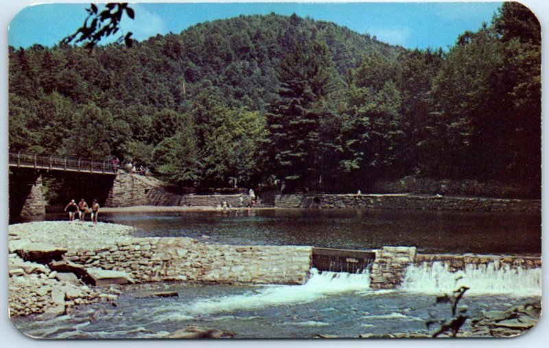 Postcard - World's End State Park, Sullivan County, Pennsylvania, USA