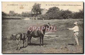 Old Postcard Folklore Normandy and mother & # 39enfant the Cheal field