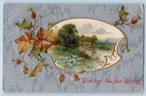 Racine Wisconsin WI Postcard New Year Flowers Field Scene Embossed 1911 Antique