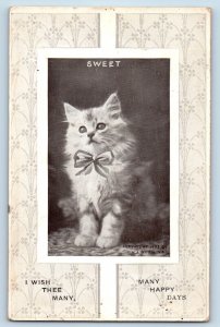 H I Robbins Signed Postcard Cute Cat Kitten Haired With Bow Sweet 1912 RPO