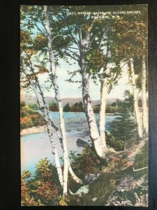 Vintage Postcard 1950 Rippling Water& Silvery Birches White Mountains N.H.