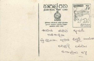 Entier Postal Stationery Postal Sri Lanka Ceylon Lion