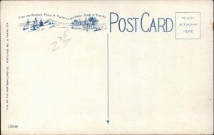 Florida FL Phosphate Mining 1900s-20s Vintage Postcard