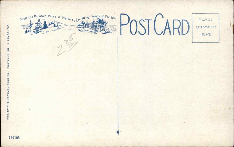 Florida FL Phosphate Mining 1900s-20s Vintage Postcard