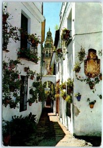 Postcard - Flower's lane - Córdoba, Spain