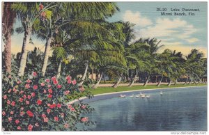 Scenic view,  Lake Pancoast,  Miami Beach,  Florida,   PU_1958