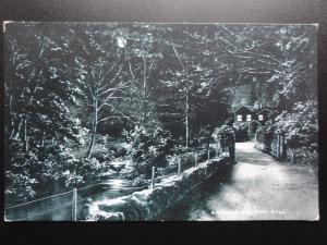 Cumbria: Ambelside, Fox Gill, by Moonlight c1907 Pub by Davidson Bros