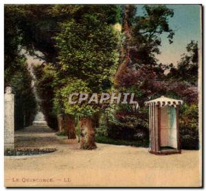 Old Postcard Rambouillet The Park The Quincunx