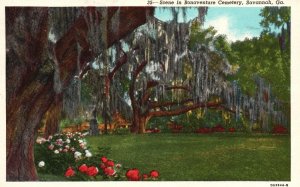 Vintage Postcard 1967 scene In Bonaventure Historic Cemetery Savannah Georgia GA