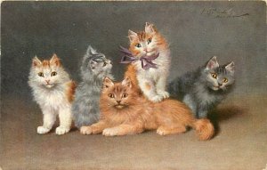 Postcard A/S Sophie Sperlich 1002 Group of Happy Orange & White & Gray Cats