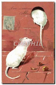 Old Postcard White Mouse
