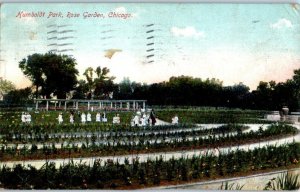 1908 Rose Garden Humboldt Park Chicago IL Postcard