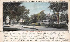 The Common Orange New Jersey 1905 postcard