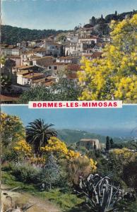 BF21292 bormes les mimosas var   france  front/back image