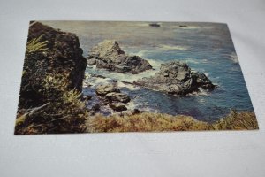 Pacific Coastline Big Sur California Postcard Mike Roberts Bell Magazine Agency