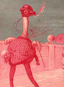 1880s J. Stiner Tea Coffee Comical Anthropomorphic Ostrich Set Of 4 P162