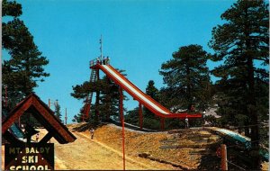 Ski Jump at Mt. Baldy, Southern California Vintage Postcard V45