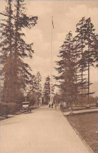 Washington Seattle Flagpole and Library Walk University of Washington Albertype