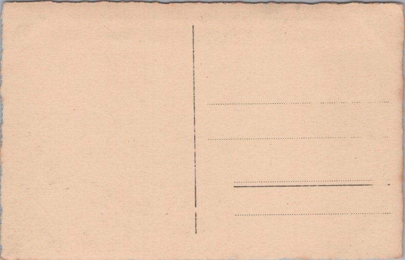 Austria Finkenberg Vintage RPPC 09.80 