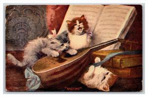20823 CATS   cats plating mandolin  ragtime