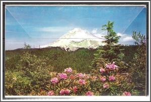 Oregon, Scenic Oregon Souvenir Folder - [OR-015X]