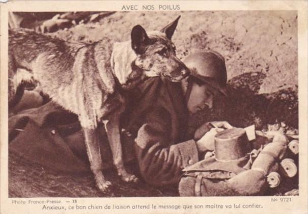 Military French Soldier With Messenger Dog The Poilus