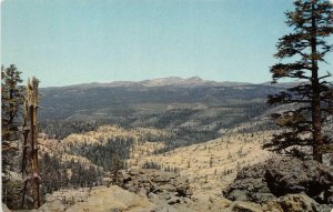 High Sierra View near Silver Lake Carson Pass Highway CA c1950s Vintage Postcard